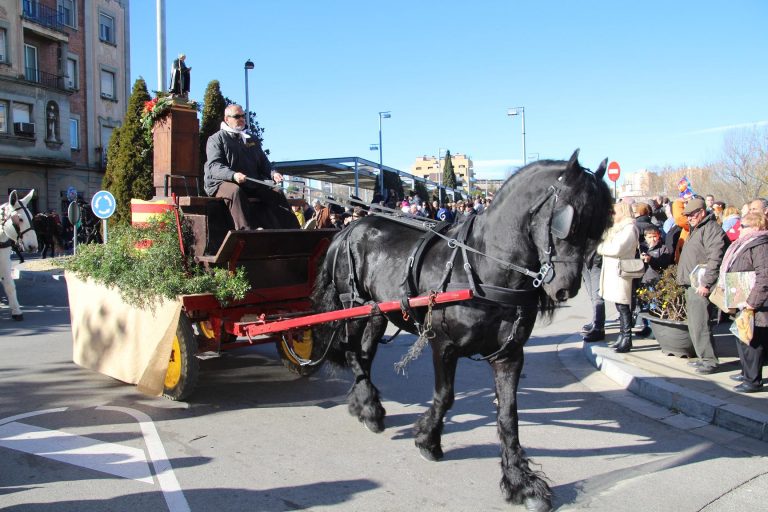 Un centenar de bèsties presumeix de força i elegància als centenaris Tres Tombs de Sant Antoni