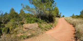 Es fan treballs a la serra de l’Ataix per facilitar el pas dels bombers en cas d’emergència forestal