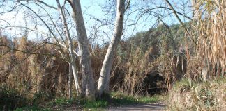 La Diputació de Barcelona arranjarà els camins del repetidor i del canal Sedó a Martorell
