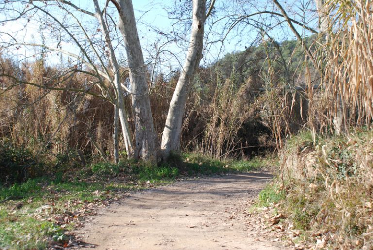 La Diputació de Barcelona arranjarà els camins del repetidor i del canal Sedó a Martorell
