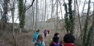 Disset rutes d’iniciació i muntanya per Catalunya i Andorra, programa de l’Agrupació Excursionista pel proper curs Sortida de senderisme de l'Agrupació Excursionista de Martorell