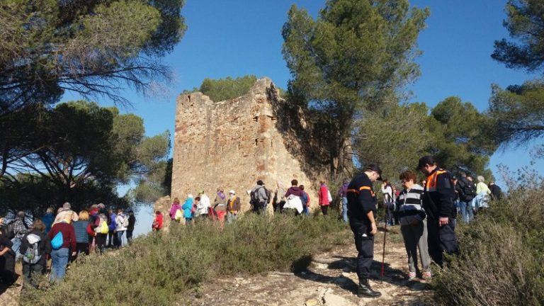 Martorell torna a ser el municipi amfitrió del cicle de caminades per a gent gran ‘A cent cap als cent’