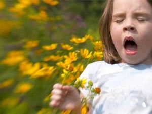 Al·lèrgia
