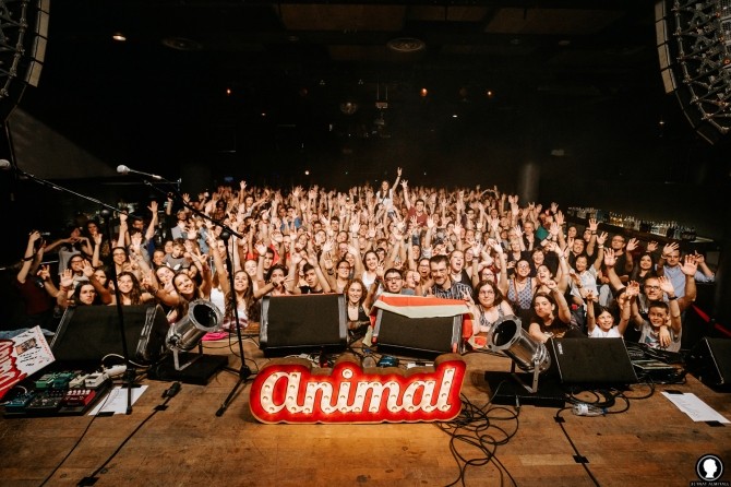 Animal 2