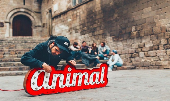 Animal band 720x430