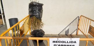 Divendres es posaran en funcionament els sis punts de recollida d’avets al carrer