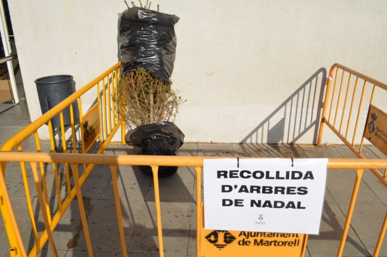 Divendres es posaran en funcionament els sis punts de recollida d’avets al carrer