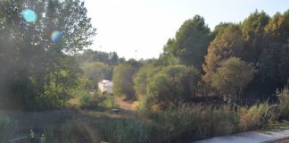 Extingit l’incendi que ha cremat superfície d’herba i canyes prop del viver de Can Serra