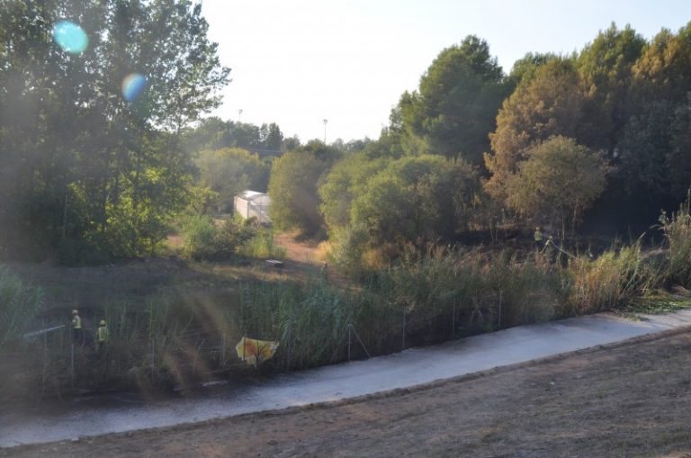 Extingit l’incendi que ha cremat superfície d’herba i canyes prop del viver de Can Serra