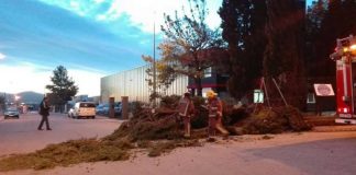 La Policia Local registra una quinzena d’avisos per les fortes ventades del cap de setmana