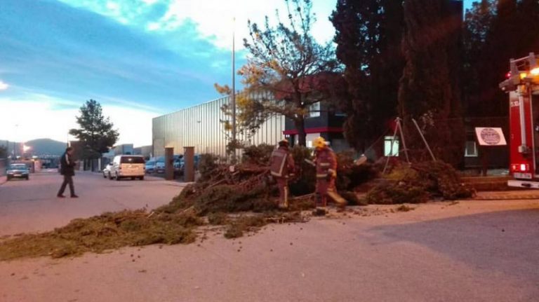 La Policia Local registra una quinzena d’avisos per les fortes ventades del cap de setmana