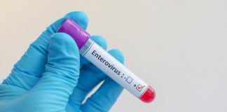 L’ABS de Martorell envia un missatge de tranquil·litat sobre l’afectació dels enterovirus