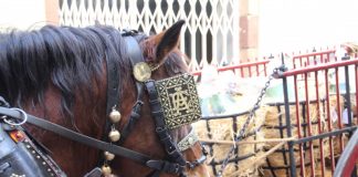 Martorell, una de les poblacions més matineres en celebrar els Tres Tombs Tres Tombs