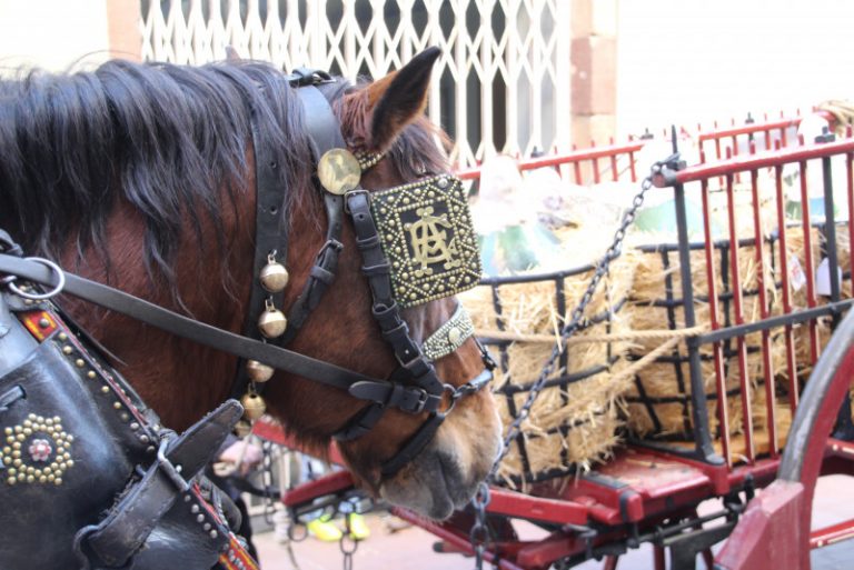 Martorell, una de les poblacions més matineres en celebrar els Tres Tombs