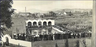El Club Natació Martorell celebra el 85è aniversari amb una gran nedada solidària