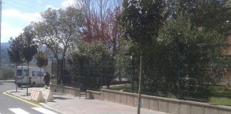 S’arranja el carrer de Riba-roja amb l’asfaltat, la il·luminació i la plantació de nous arbres
