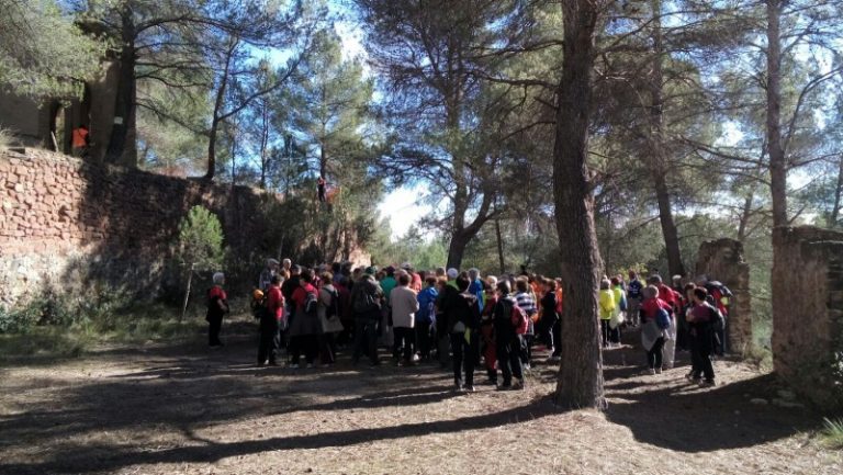Martorell enceta les passejades per l’entorn natural de la campanya ‘A cent cap als cent’