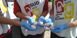 Els voluntaris del ‘Fem Dissabte!’ es troben un riu amb menys residus que l’any passat