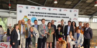 El recinte de Ca n’Oliveras allotja una exposició internacional amb 1.500 exemplars canins