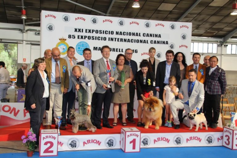 El recinte de Ca n’Oliveras allotja una exposició internacional amb 1.500 exemplars canins