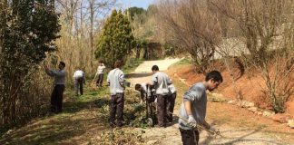 Vuit joves de Martorell, seleccionats per al nou programa ‘Joves per l’Ocupació’
