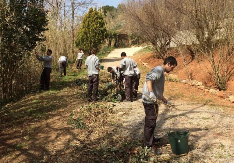 Vuit joves de Martorell, seleccionats per al nou programa ‘Joves per l’Ocupació’