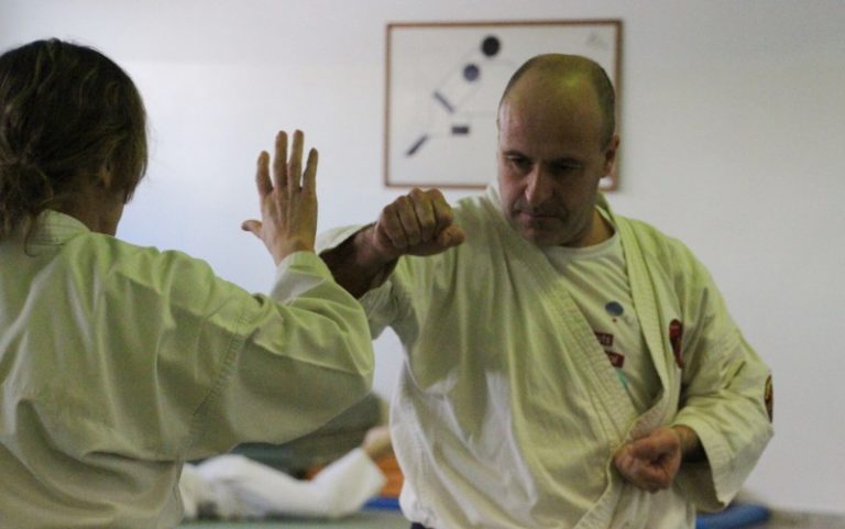Una quinzena de persones assisteix a la jornada de portes obertes de Nihon Tai Jitsu