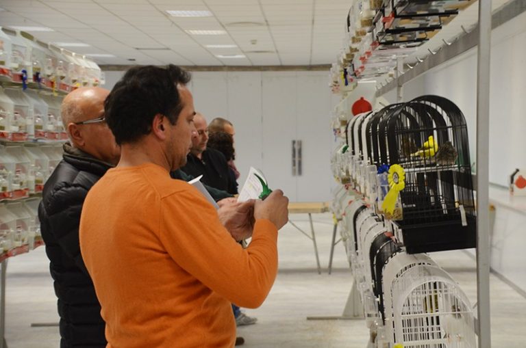 Uns 400 ocells participen en el XXXXIV concurs de l’Associació Ornitològica de Martorell