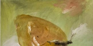 L’artista local Carme Bueno inaugura divendres ‘De Rerum Natura’ al Muxart Espai d’Art