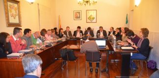 L’Ajuntament, a favor del dret a vot de les persones amb discapacitat intel·lectual