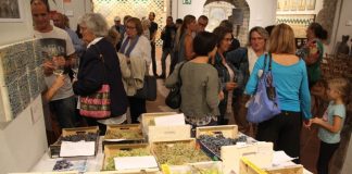 La comunió entre raïm, pagesia i música clàssica fa el ple al Museu Municipal Vicenç Ros