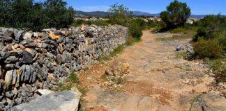 L’Agrupació Excursionista de Martorell comença un cicle de caminades per la Via Augusta