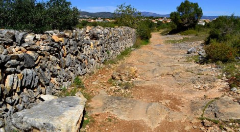 L’Agrupació Excursionista de Martorell comença un cicle de caminades per la Via Augusta