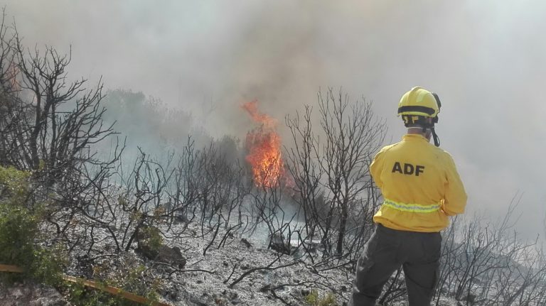 Martorell ja té una Agrupació de Defensa Forestal pròpia per millorar la gestió dels seus boscos