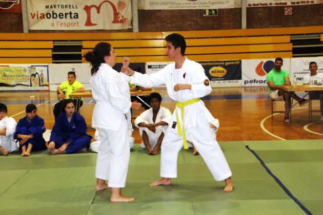 6&egrave; Memorial David Ruiz Guijarro